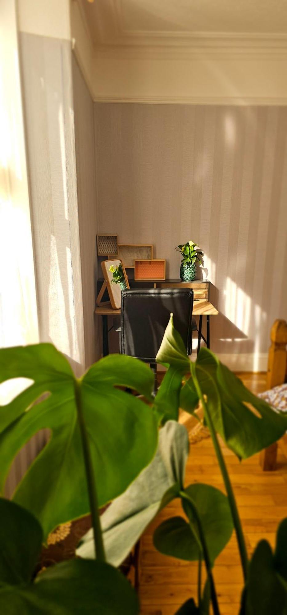 Home Away From Home Aberdeen Extérieur photo